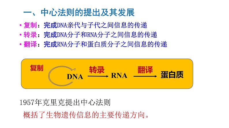 高中生物人教版 (新课标)必修2课件 4.2 基因对性状的控制04