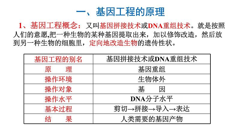 高中生物人教版 (新课标) 必修2课件 6.2 基因工程及其应用05