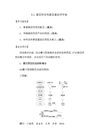 人教版 (新课标)必修2《遗传与进化》第五章 基因突变及其他变异第1节 基因突变和基因重组学案