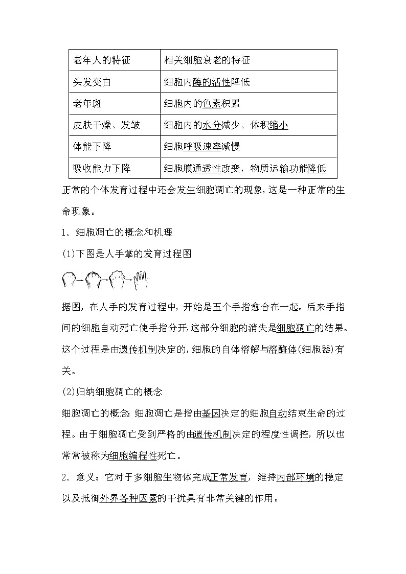 人教版高中生物必修一分子与细胞6.3 细胞的衰老和凋亡导学案02