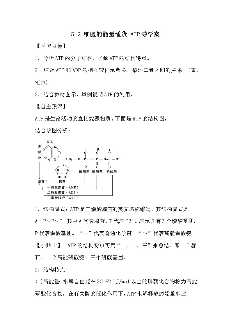 人教版高中生物必修一分子与细胞5.2 细胞的能量通货-ATP导学案01