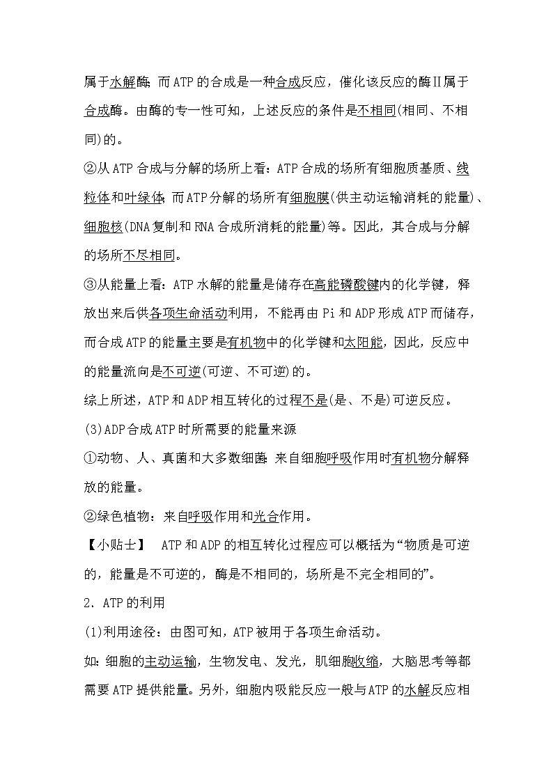 人教版高中生物必修一分子与细胞5.2 细胞的能量通货-ATP导学案03