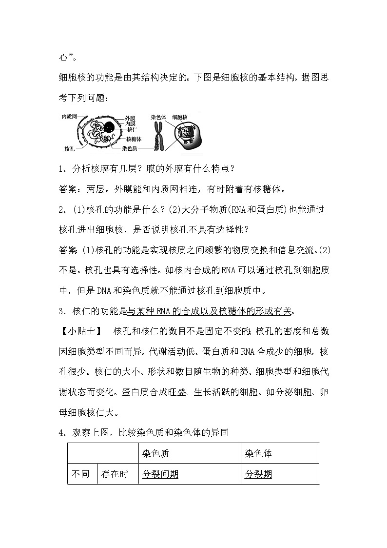 人教版高中生物必修一分子与细胞3.3 细胞核-系统的控制中心导学案03