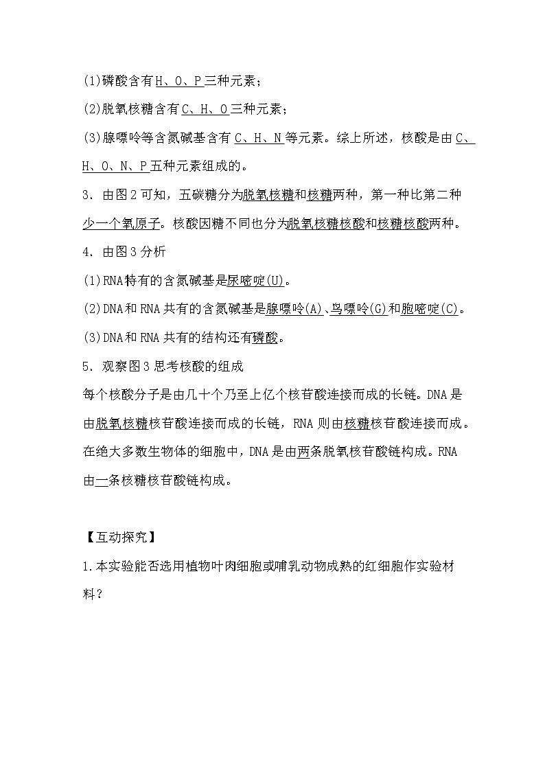 人教版高中生物必修一分子与细胞2.3 遗传信息的携带者-核酸导学案03