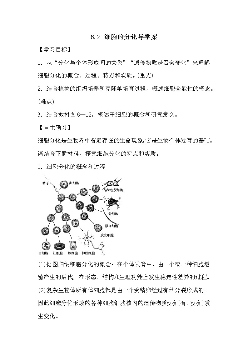 人教版高中生物必修一分子与细胞6.2 细胞的分化导学案01