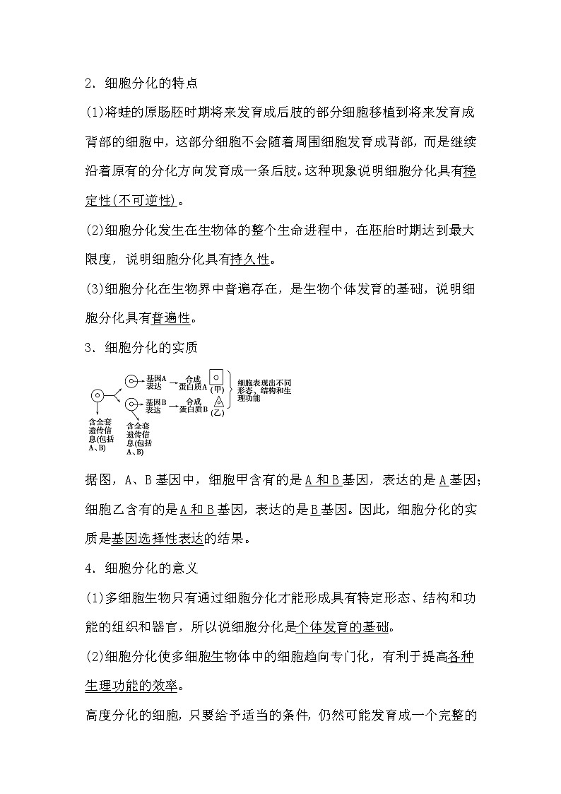 人教版高中生物必修一分子与细胞6.2 细胞的分化导学案02