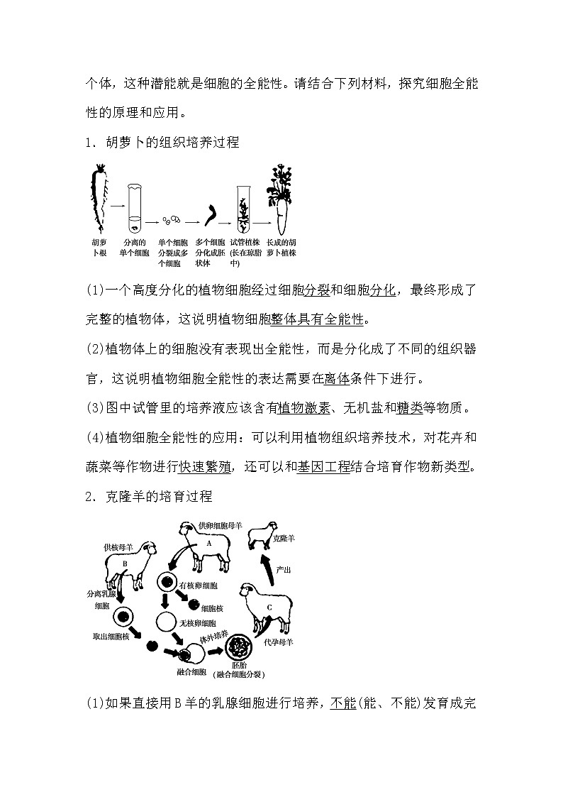 人教版高中生物必修一分子与细胞6.2 细胞的分化导学案03