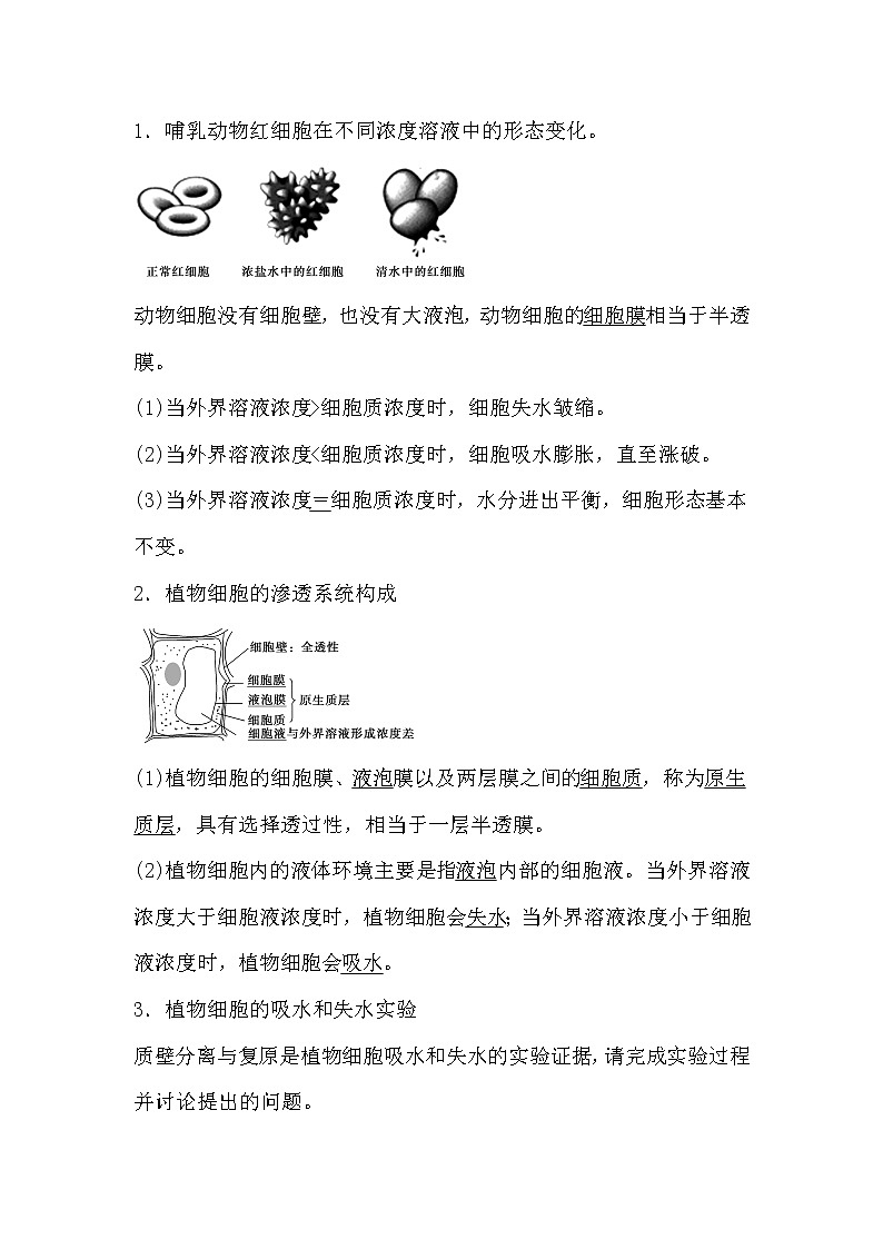 人教版高中生物必修一分子与细胞4.1 物质跨膜运输的实例导学案02