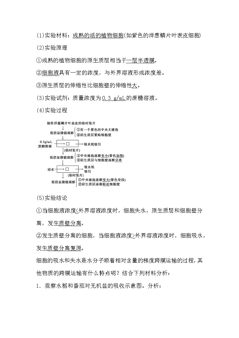 人教版高中生物必修一分子与细胞4.1 物质跨膜运输的实例导学案03