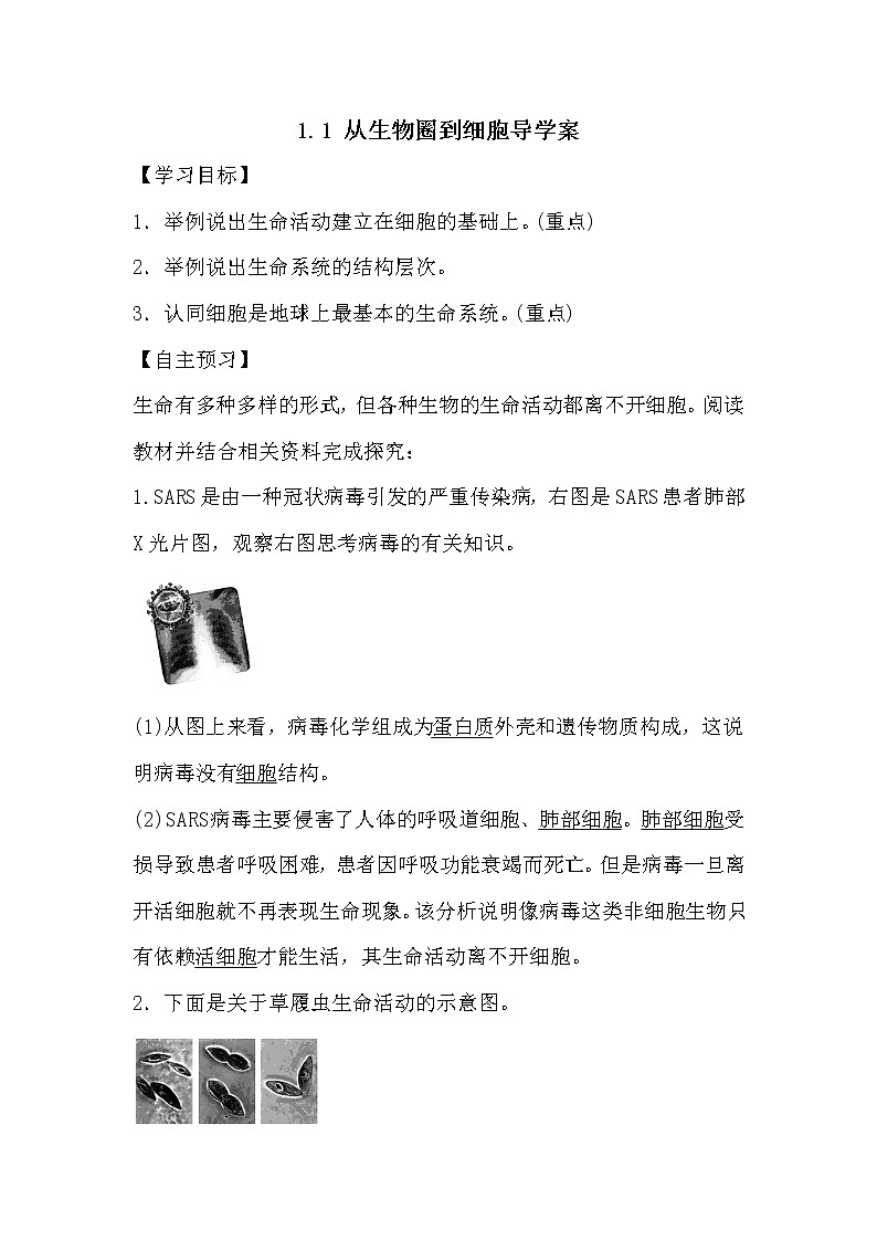 人教版高中生物必修一分子与细胞1.1 从生物圈到细胞导学案01