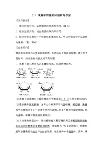 人教版 (新课标)必修1《分子与细胞》第4节 细胞中的糖类和脂质导学案及答案