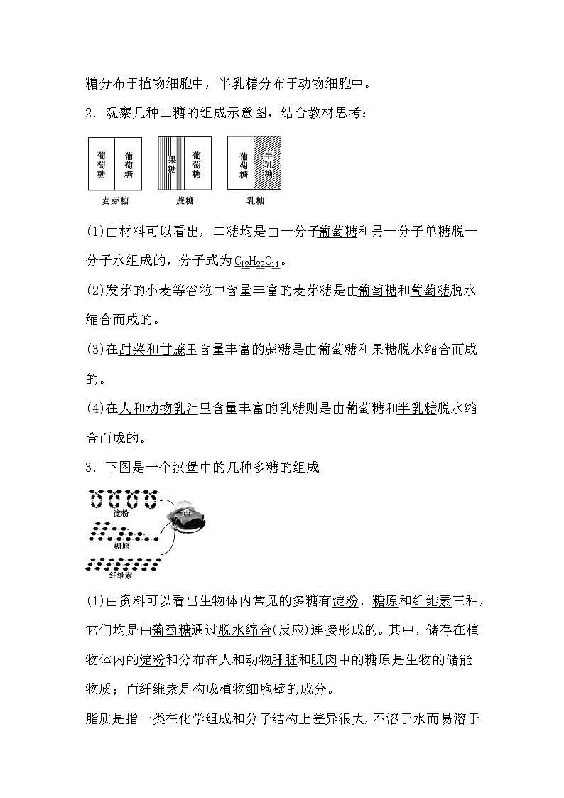 人教版高中生物必修一分子与细胞2.4 细胞中的糖类和脂质导学案02