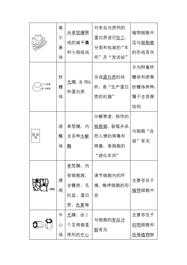 人教版高中生物必修一分子与细胞3.2 细胞器-系统内的分工合作（一）导学案02
