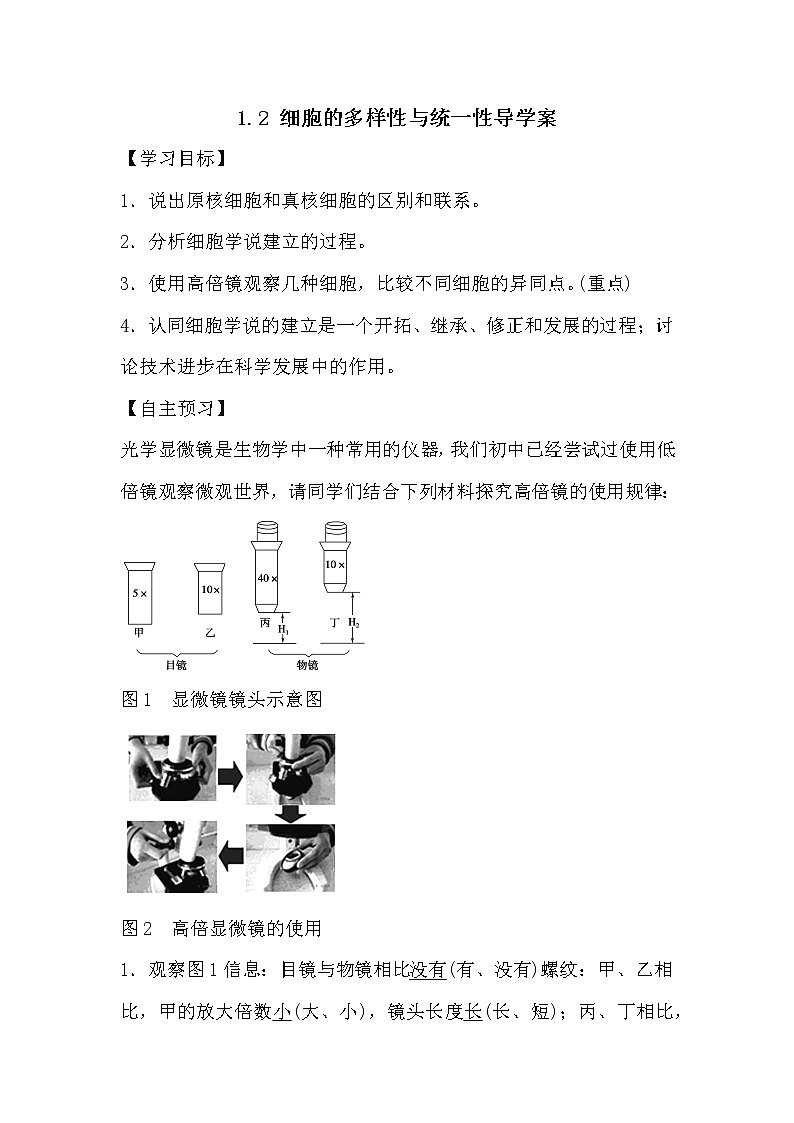 人教版高中生物必修一分子与细胞1.2 细胞的多样性与统一性导学案01