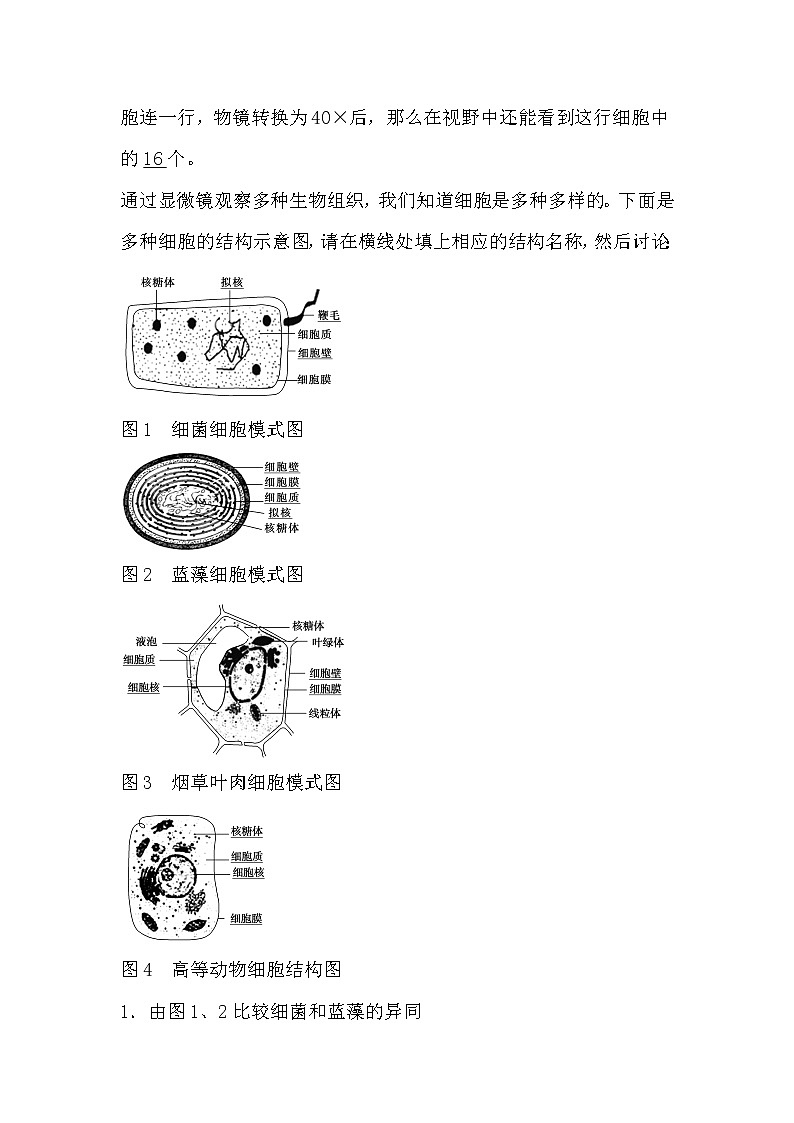 人教版高中生物必修一分子与细胞1.2 细胞的多样性与统一性导学案03