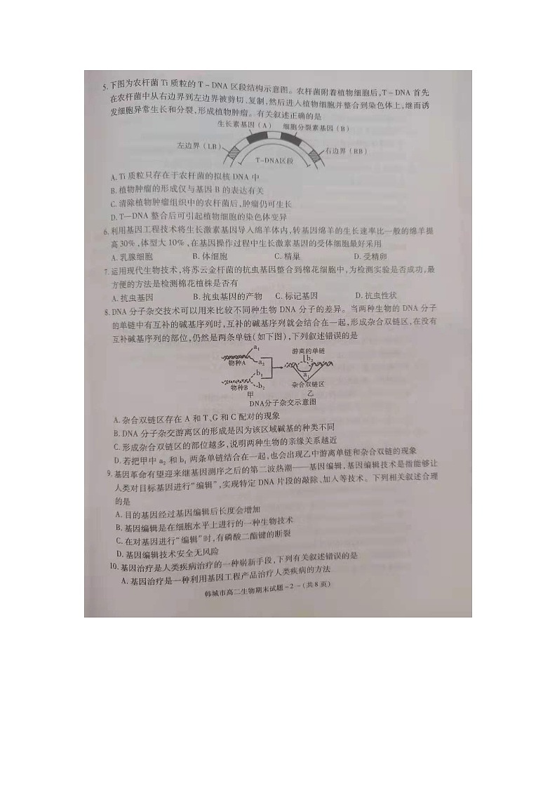 2020-2021学年陕西省韩城市高二年级第二学期期末生物教学检测（无答案）第2页