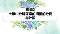 高中生物人教版 (新课标)选修1《生物技术实践》课题2 土壤中分解尿素的细菌的分离与计数图文课件ppt