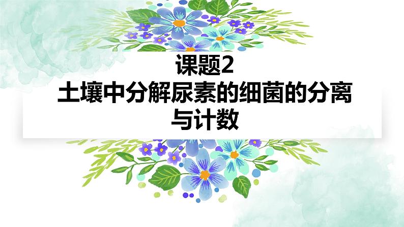 高中生物人教版 (新课标) 选修1　2.2 土壤中分解尿素的细菌的分离与计数 课件01