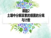 高中生物人教版 (新课标) 选修1　2.2 土壤中分解尿素的细菌的分离与计数 课件