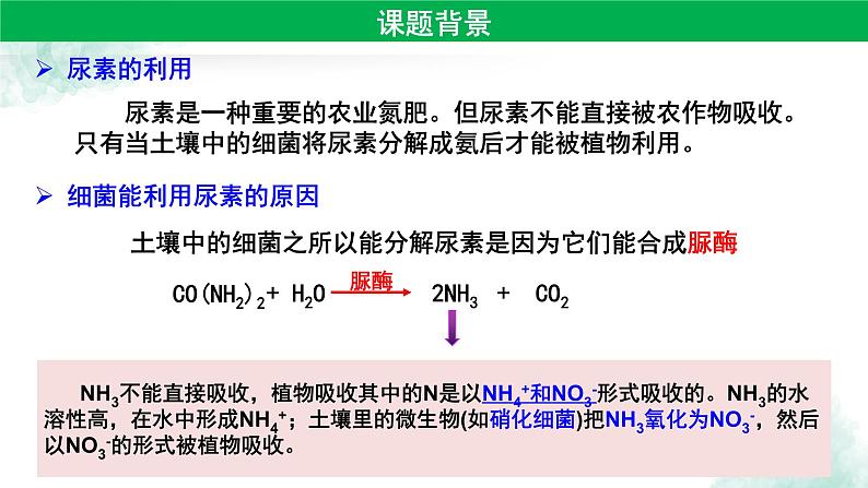 高中生物人教版 (新课标) 选修1　2.2 土壤中分解尿素的细菌的分离与计数 课件02