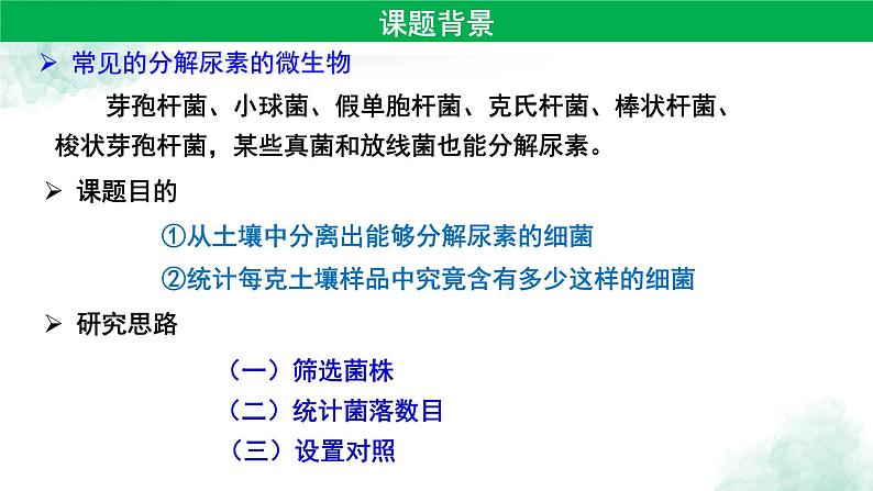 高中生物人教版 (新课标) 选修1　2.2 土壤中分解尿素的细菌的分离与计数 课件03