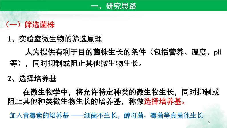 高中生物人教版 (新课标) 选修1　2.2 土壤中分解尿素的细菌的分离与计数 课件05