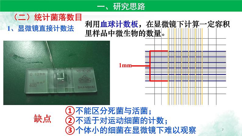 高中生物人教版 (新课标) 选修1　2.2 土壤中分解尿素的细菌的分离与计数 课件07