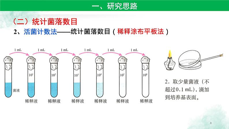 高中生物人教版 (新课标) 选修1　2.2 土壤中分解尿素的细菌的分离与计数 课件08