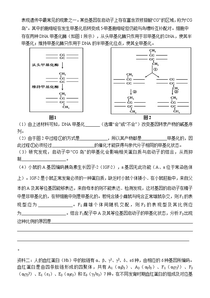 湖南长沙雅礼中学2020年秋季期高三生物寒假作业3 练习03