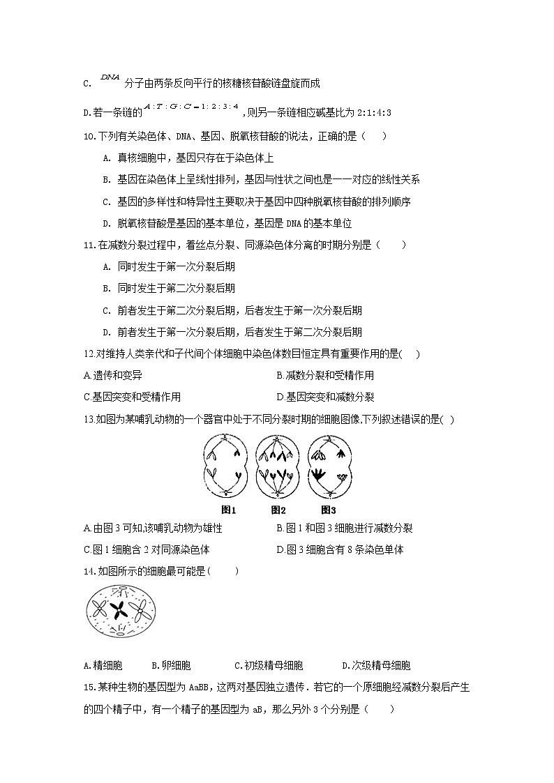 广西防城港市防城中学2020-2021学年高一下学期期中考试生物试卷+答案03