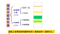 必修1《分子与细胞》第4节 光合作用与能量转化综合与测试课文内容ppt课件