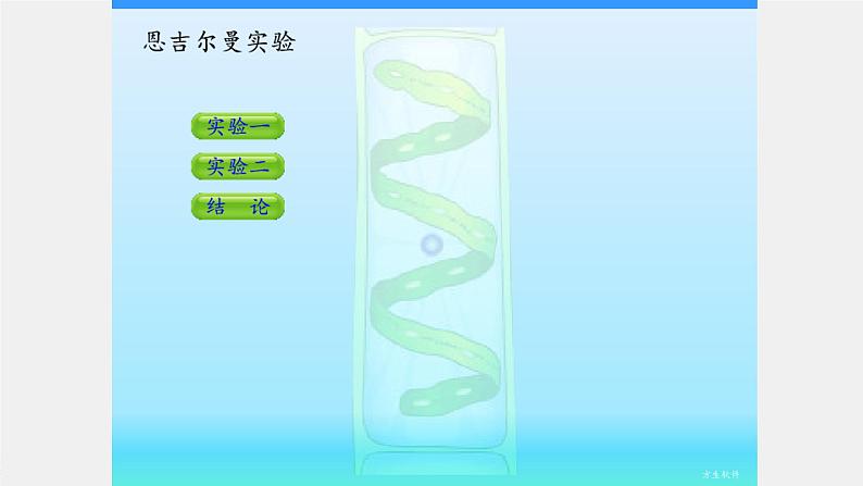 高中生物人教版 (2019) 必修1 第五章光合作用测试08