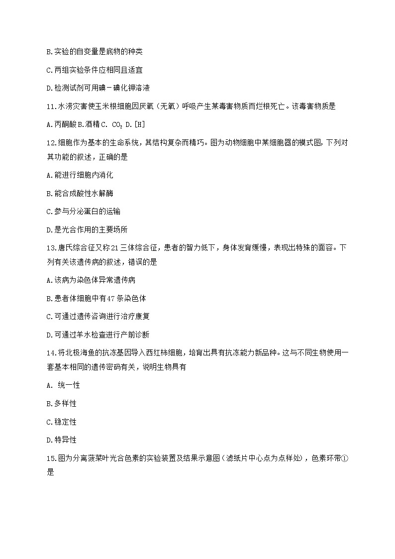 浙江省温州市2020-2021学年高一下学期期末教学质量统一监测（学考模拟）生物试题+答案03