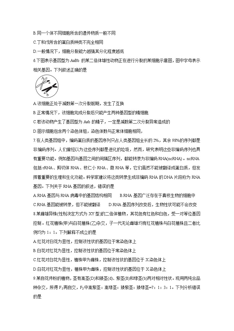广东省普通高中2020-2021学年高一下学期5月教学质量联合测评+生物+答案 （wrod版）doc03