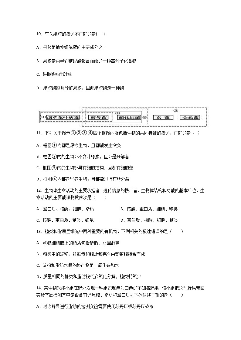 吉林省洮南一中2020-2021学年高二下学期第三次月考生物试卷+答案03