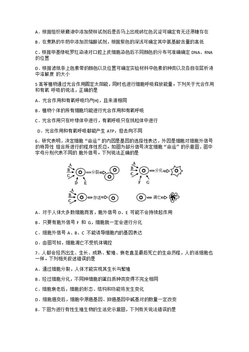 安徽衡安学校2020-2021年度高二下学期第四次调研考试生物试卷+答案02