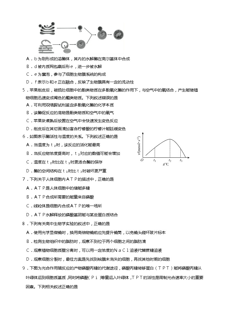 江苏省无锡市2020-2021学年高二下学期期终教学质量抽测生物试题+答案 （word版）02