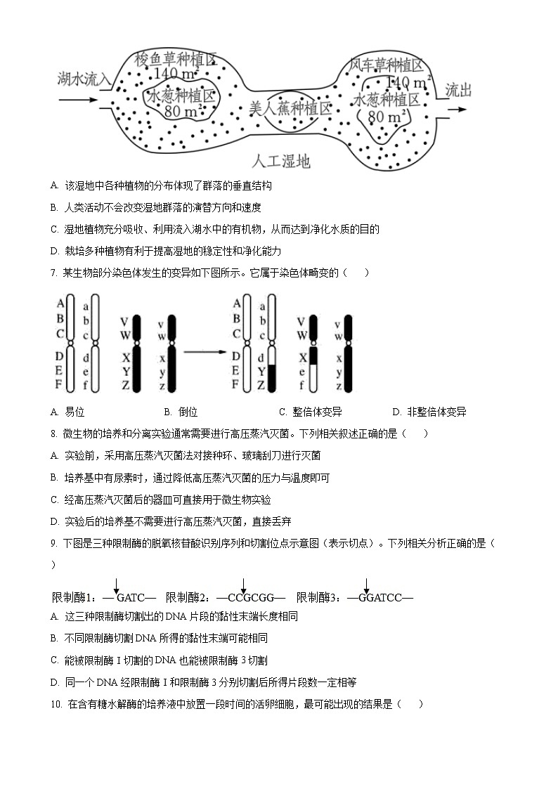 浙江省绍兴市2020-2021学年高二下学期期末调测生物试题+答案 （word版）02