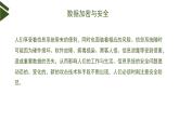 3.2 信息系统安全与防护（第1课时） 课件(15张ppt )+教案