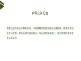 3.2 信息系统安全与防护（第3课时） 课件(17张ppt )+教案