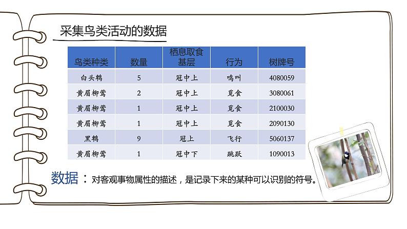 第一单元 项目一 探秘鸟类研究——认识数据、信息与知识 课件+教案+素材02