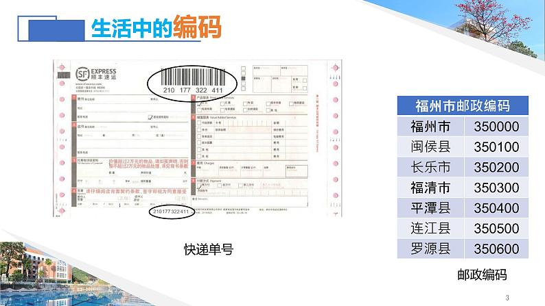 第一单元 项目二 探究计算机中的数据表示——认识数据编码 课件+教案+素材03