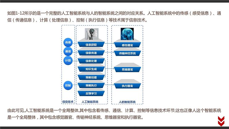 高中信息技术必修第二册 1.3 信息技术的影响 课件第7页