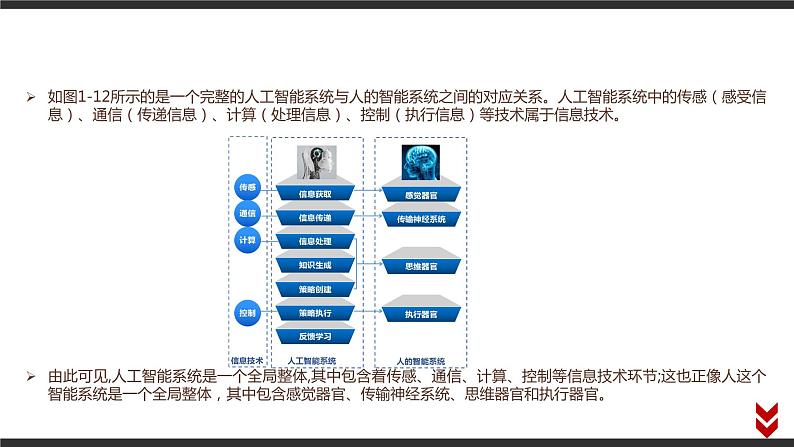 高中信息技术必修第二册 1.3 信息技术的影响 课件07