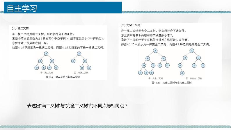 第四章 树 课件第7页