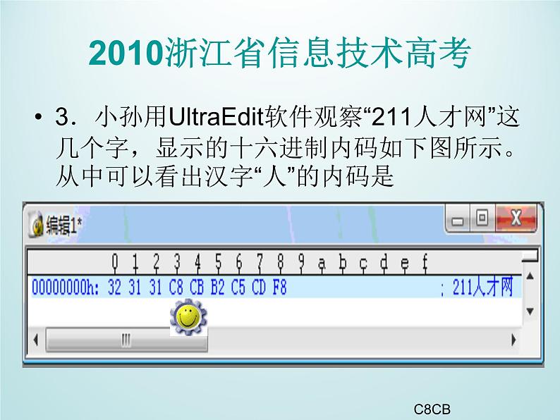 1.2.2 信息技术的应用与影响 信息编码 课件第4页