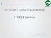 高中信息技术 策划表达方式Python数据可视化应用 部优课件