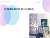 高中信息技术 人工智能应用—智能家居 课件