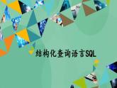 粤教版高中信息技术（选修4）3.5 结构化查询语言SQL 课件