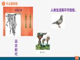 粤教版高中信息技术《必修1：1.3信息及其特征》课件
